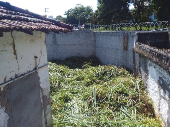 Imagem Terreno para Alugar, 361 m² em Vila Edmundo - Taubaté Imagem Terreno para Alugar, 361 m² em Vila Edmundo - Taubaté