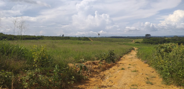 Imagem Imóvel à Venda, em Rondon Do Pará - Rondon Do Pará Imagem Imóvel à Venda, em Rondon Do Pará - Rondon Do Pará