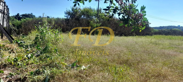 Imagem Imóvel Comercial à Venda, 42.000 m² em Jarinu Imagem Imóvel Comercial à Venda, 42.000 m² em Jarinu