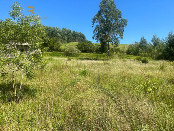 Imagem Chácara com 2 Quartos à Venda, 37.000 m² em Pinheirinho - Capela De Santana Imagem Chácara com 2 Quartos à Venda, 37.000 m² em Pinheirinho - Capela De Santana