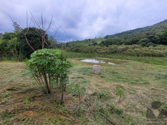 Imagem Imóvel com 2 Quartos à Venda, 8.000 m² em Cachoeira Da Mata - Entre Rios De Minas