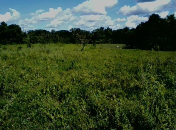 Imagem Imóvel à Venda,  em Colinas Do Tocantins - Colinas Do Tocantins