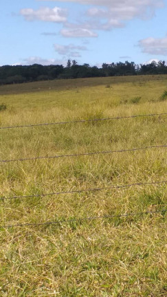 Imagem Terreno à Venda, 411 m² em Itavuvu - Sorocaba Imagem Terreno à Venda, 411 m² em Itavuvu - Sorocaba