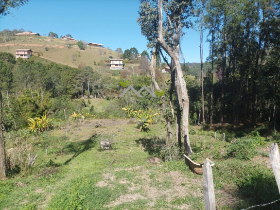Terreno à Venda, 1 m² em Bairro Machadinho - Santo Antônio Do Pinhal