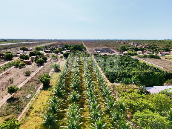 Imagem Fazenda à Venda, em Estrada Das Pedrinhas - Petrolina Imagem Fazenda à Venda, em Estrada Das Pedrinhas - Petrolina