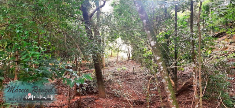 Imagem Imóvel à Venda, 8.650 m² em Caxeta - Campos Dos Goytacazes