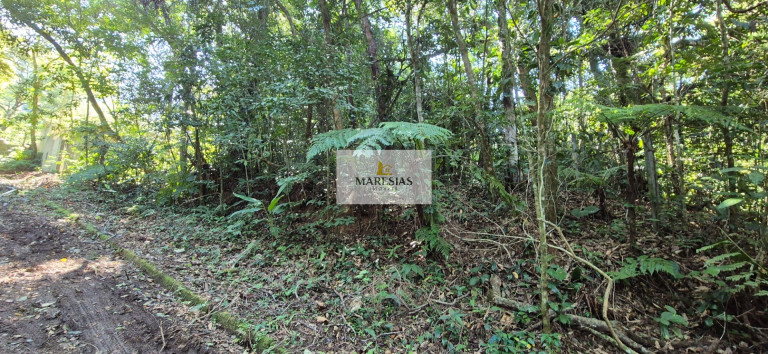 Imagem Terreno à Venda, 300 m² em Maresias - São Sebastião Imagem Terreno à Venda, 300 m² em Maresias - São Sebastião