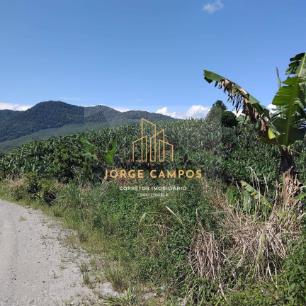 Imagem Fazenda à Venda, 125 m² em Zona Rural - Miracatu Imagem Fazenda à Venda, 125 m² em Zona Rural - Miracatu