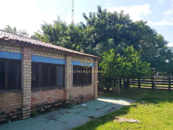 Imagem Imóvel com 3 Quartos à Venda, 1.120 m² em Zona Rural - Poconé Imagem Imóvel com 3 Quartos à Venda, 1.120 m² em Zona Rural - Poconé