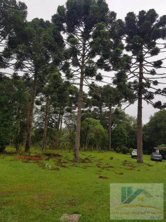 Imagem Chácara com 4 Quartos à Venda, 250 m² em Contenda - São José Dos Pinhais Imagem Chácara com 4 Quartos à Venda, 250 m² em Contenda - São José Dos Pinhais