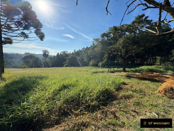 Imagem Terreno à Venda, 48.000 m² em Terra Preta (terra Preta) - Mairiporã
