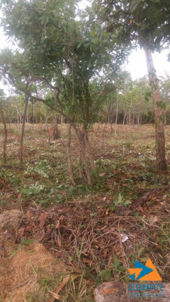 Imagem Terreno à Venda, 1.000 m² em Condomínio Aldeia Da Jaguara - Lagoa Santa