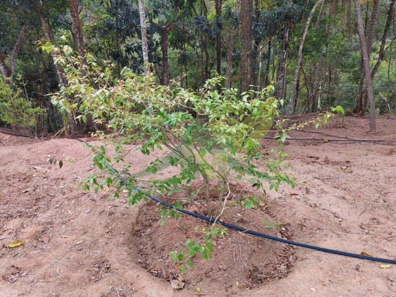 Imagem Terreno à Venda, 5.300 m² em Portão - Atibaia Imagem Terreno à Venda, 5.300 m² em Portão - Atibaia
