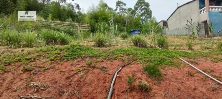 Imagem Chácara com 2 Quartos à Venda, 1.800 m² em Caetê - São Roque Imagem Chácara com 2 Quartos à Venda, 1.800 m² em Caetê - São Roque