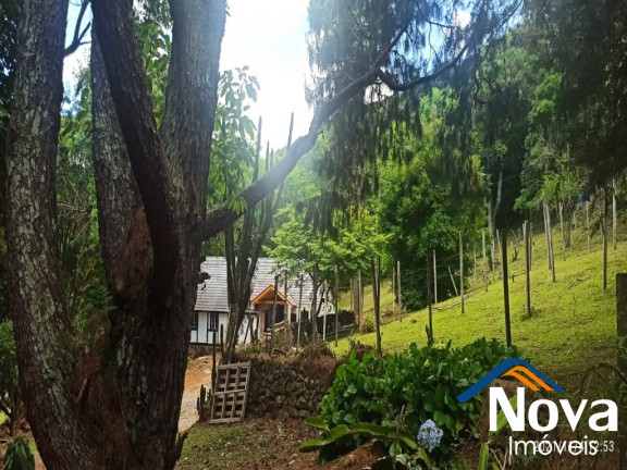Imagem Imóvel à Venda,  em Linha Pirajá - Nova Petrópolis