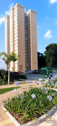 Imagem Apartamento com 3 Quartos à Venda, 64 m² em Medeiros - Jundiaí Imagem Apartamento com 3 Quartos à Venda, 64 m² em Medeiros - Jundiaí