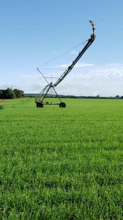 Imagem Fazenda à Venda, 2.178 m² em Rural - Itaí Imagem Fazenda à Venda, 2.178 m² em Rural - Itaí