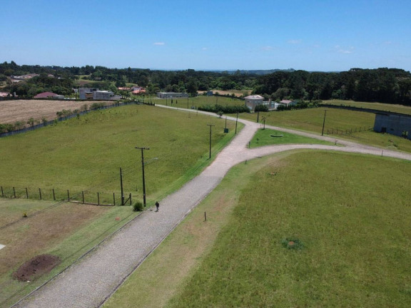 Imagem Terreno à Venda, em Planta Laranjeiras - Piraquara Imagem Terreno à Venda, em Planta Laranjeiras - Piraquara