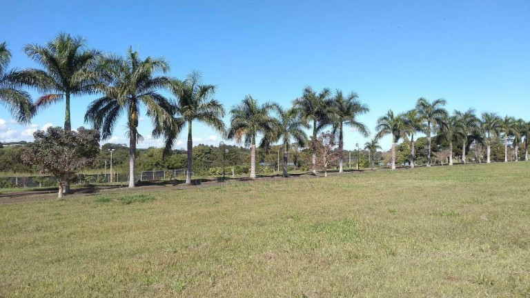Imagem Terreno à Venda, 539 m² em Lago Azul - Engenheiro Coelho Imagem Terreno à Venda, 539 m² em Lago Azul - Engenheiro Coelho