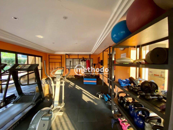 Imagem Apartamento com 3 Quartos à Venda, 100 m² em Jardim Das Paineiras - Campinas Imagem Apartamento com 3 Quartos à Venda, 100 m² em Jardim Das Paineiras - Campinas
