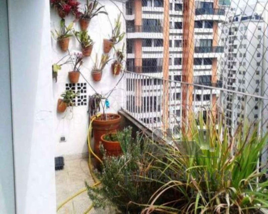 Imagem Apartamento com 3 Quartos à Venda, 242 m² em Perdizes - São Paulo Imagem Apartamento com 3 Quartos à Venda, 242 m² em Perdizes - São Paulo