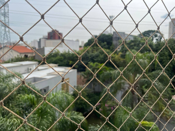Imagem Apartamento com 2 Quartos para Alugar, 55 m² em Saúde - São Paulo Imagem Apartamento com 2 Quartos para Alugar, 55 m² em Saúde - São Paulo