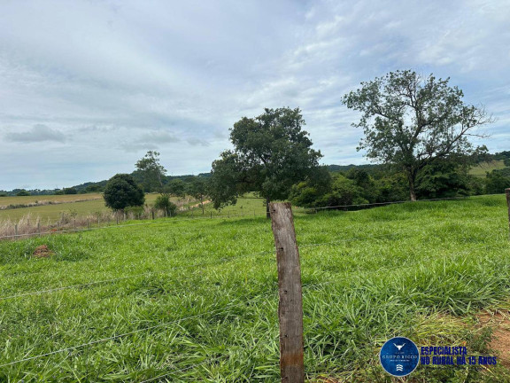 Imagem Chácara à Venda, 2 m² em Zona Rural - Trindade Imagem Chácara à Venda, 2 m² em Zona Rural - Trindade