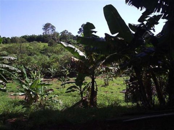 Imagem Imóvel com 3 Quartos à Venda, 37.800 m² em Três Vendas - Campinas