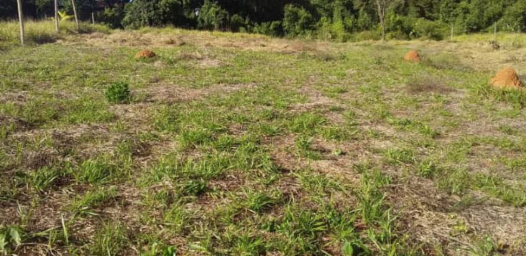 Imagem Terreno à Venda, 846 m² em Bairro Salete - Araçoiaba Da Serra Imagem Terreno à Venda, 846 m² em Bairro Salete - Araçoiaba Da Serra