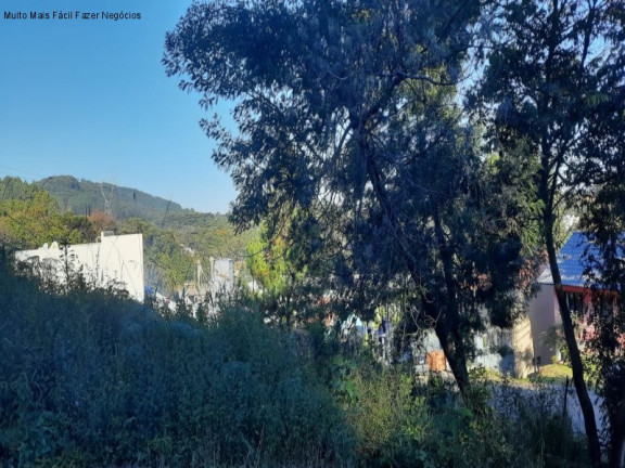 Terreno à Venda, 420 m² em Piá - Nova Petrópolis