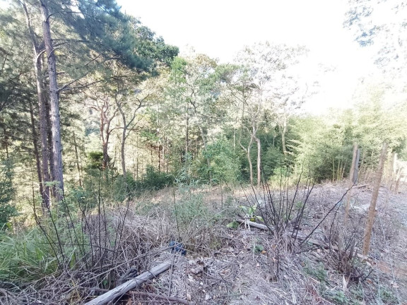 Imagem Terreno à Venda, 1.530 m² em Cascata Dos Amores - Teresópolis Imagem Terreno à Venda, 1.530 m² em Cascata Dos Amores - Teresópolis