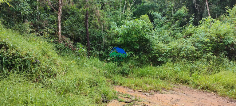 Terreno à Venda, 100.000 m² em Zona Rural - Aiuruoca