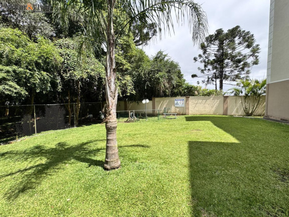 Imagem Apartamento com 2 Quartos à Venda, 47 m² em Boneca Do Iguaçu - São José Dos Pinhais