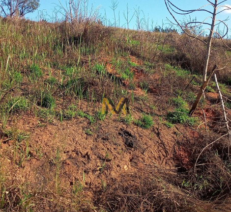 Imagem Terreno à Venda, 7.000 m² em Capoavinha - Mairiporã