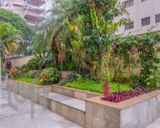 Imagem Apartamento com 3 Quartos à Venda, 87 m² em Moema Pássaros - São Paulo Imagem Apartamento com 3 Quartos à Venda, 87 m² em Moema Pássaros - São Paulo