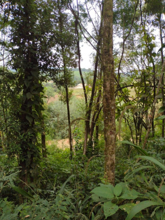 Imagem Imóvel à Venda, 33.000 m² em Itaqui De Cima - Campo Largo Imagem Imóvel à Venda, 33.000 m² em Itaqui De Cima - Campo Largo