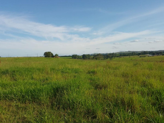 Imagem Chácara à Venda, 16 m² em Rural - Itapetininga Imagem Chácara à Venda, 16 m² em Rural - Itapetininga