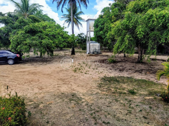 Imagem Fazenda à Venda, 6.400 m² em Pium - Nísia Floresta Imagem Fazenda à Venda, 6.400 m² em Pium - Nísia Floresta