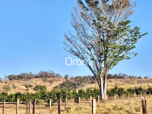 Fazenda à Venda, 500 m² em Zona Rural - Goianápolis
