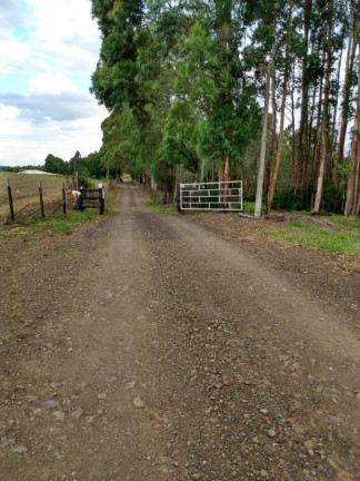 Imagem Fazenda à Venda, 363 m² em Rural - Ortigueira Imagem Fazenda à Venda, 363 m² em Rural - Ortigueira