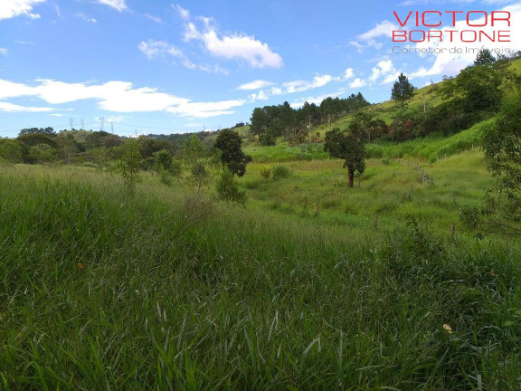 Imagem Chácara com 1 Quarto à Venda, 116.678 m² em Luiz Carlos - Guararema