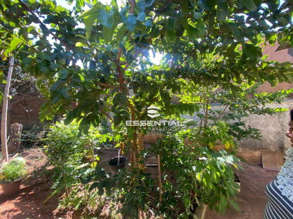 Imagem Casa com 3 Quartos à Venda, 150 m² em Jardim Soraia - São José Do Rio Preto Imagem Casa com 3 Quartos à Venda, 150 m² em Jardim Soraia - São José Do Rio Preto