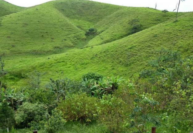 Imagem Imóvel à Venda, em São José Dos Campos Imagem Imóvel à Venda, em São José Dos Campos