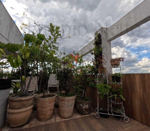 Imagem Apartamento com 4 Quartos à Venda, 330 m² em Higienópolis - São Paulo