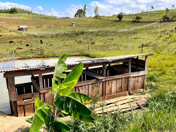 Imagem Chácara com 2 Quartos à Venda, 6 m² em Morungava - Gravataí