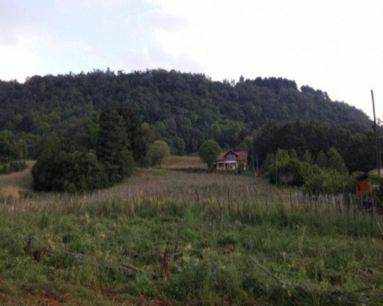 Imagem Terreno à Venda, 8.700 m² em 9 Colônias - Nova Petrópolis Imagem Terreno à Venda, 8.700 m² em 9 Colônias - Nova Petrópolis