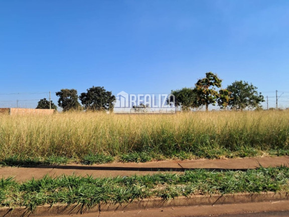 Terreno à Venda, 309 m² em Loteamento Jardim Ipiranga - Uberaba