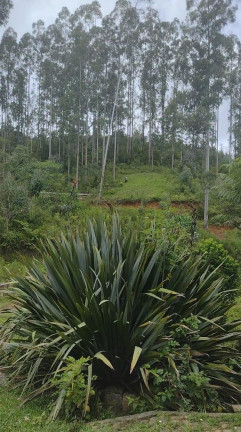 Imagem Imóvel à Venda, 72.600 m² em Ribeirão Do Tigre - Quatro Barras