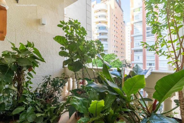 Imagem Apartamento com 2 Quartos à Venda, em Pinheiros - São Paulo Imagem Apartamento com 2 Quartos à Venda, em Pinheiros - São Paulo