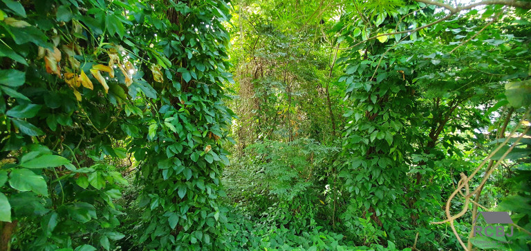 Imagem Terreno à Venda, 1.000 m² em Retiro Do Chalé - Brumadinho